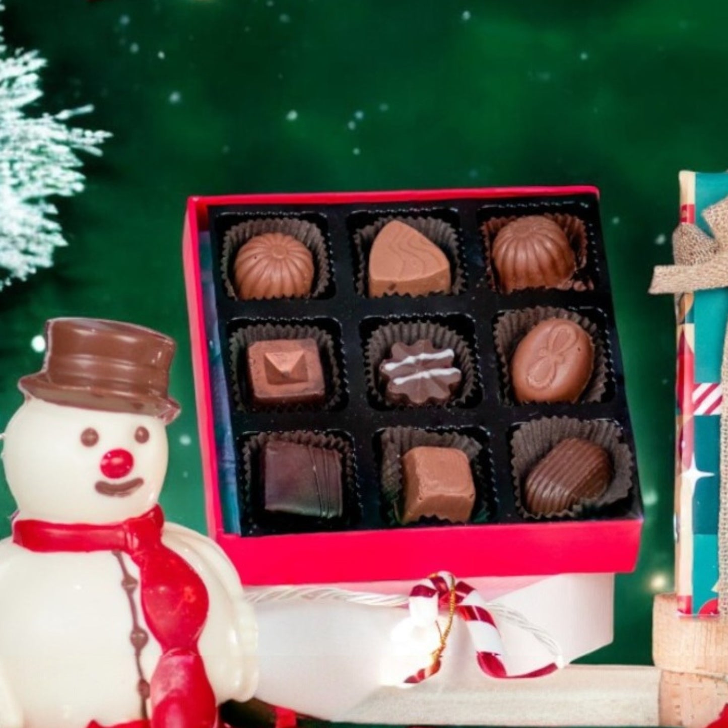 ZOROY Christmas Special 9 chocolate box